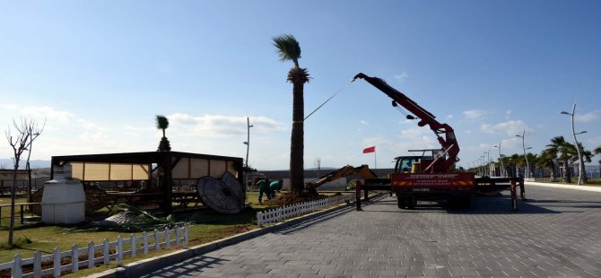 Aliağa’nın Sembol Dev Palmiyeleri Ağapark’a Hayat Buluyor