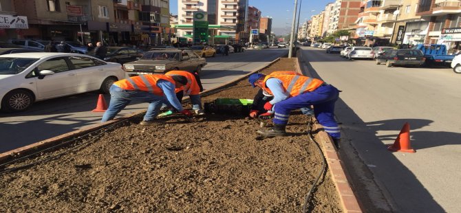 Ödemiş’te 25 Bin Lale Toprakla Buluştu