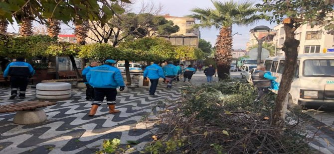 Akhisar’da Ağaçlara Kışlık Bakım