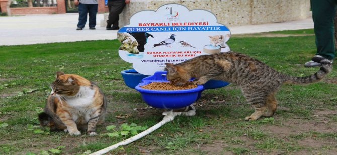 Bayraklı’da Can Dostlara Özel İlgi