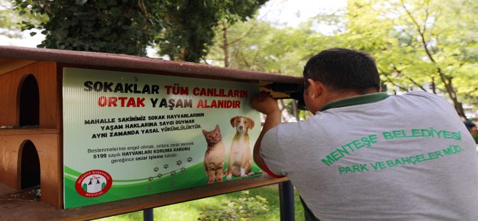 Sokaklar Tüm Canlıların Ortak Yaşam Alanıdır