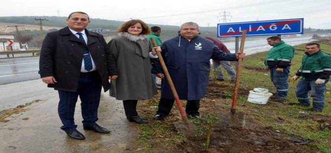 Aliağa’da Bin Adet Zeytin Fidanı Toprakla Buluşturuldu