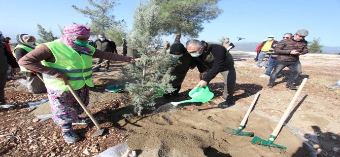 İzmir'de 30 Noktada 20 Bin Fidan Toprakla Buluştu