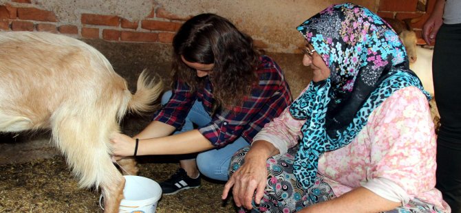 Kentteki Gençler Köy Hayatını Yaşayarak Öğreniyor