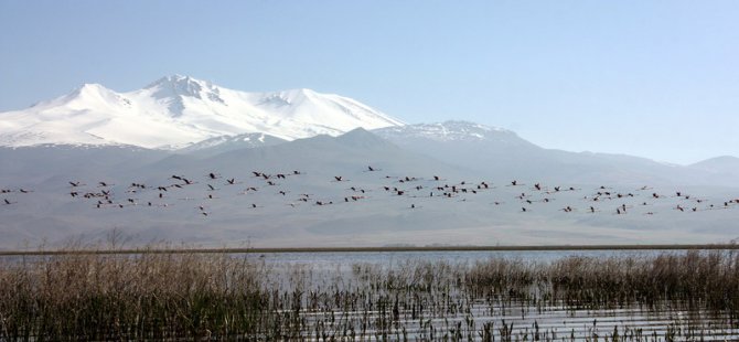 Türkiye'de 921 Adet Yeni Sulak Alan Tespit Edildi