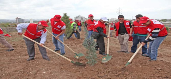 Yaklaşık 4 Milyon Fidan Toprakla Buluştu