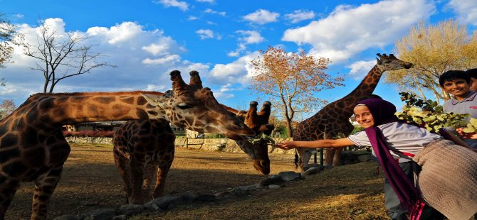 Bursa Zoo 18 Yaşında