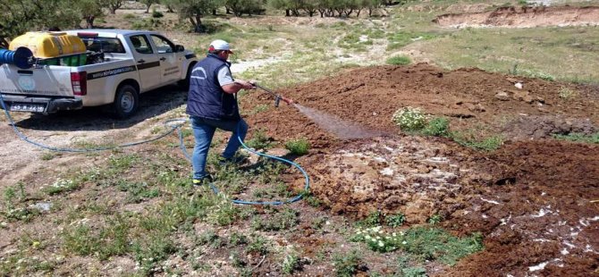 Kırkağaç’ta Haşerelere Karşı İlaçlama Devam Ediyor