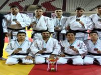 Judoda Süperiz