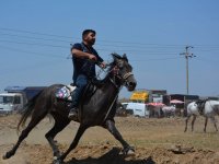 Rahvan Atlar, 7 yıl sonra Torbalı’da yarıştı