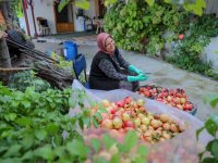 Aliağa’nın Doğal Çıtak Nar Ekşisi’nin Sofralara Uzanan Öyküsü